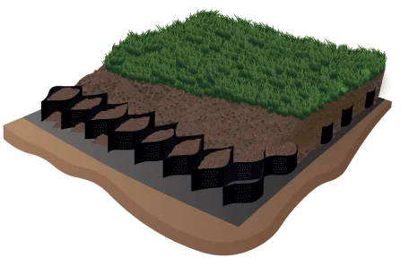Grass Finally y y -01 1